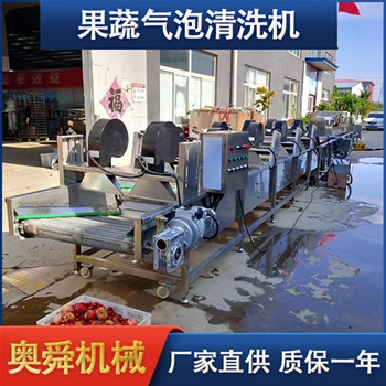 果蔬清洗加工流水線(xiàn) 蔬菜去農(nóng)殘?jiān)O(shè)備