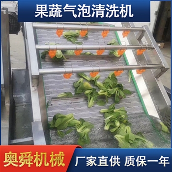 果蔬清洗機(jī) 氣泡清洗設(shè)備 葉菜類(lèi)清洗機(jī)奧舜機(jī)械