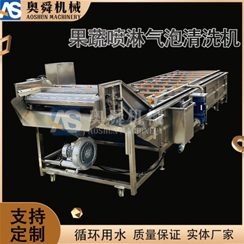 山東大蔥生姜自動清洗機 氣泡清洗設(shè)備 杏鮑菇銀耳菌類清洗機 