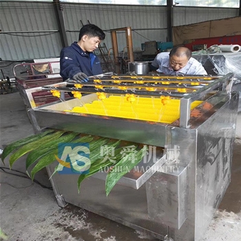 商用粽葉清洗機(jī) 直供水循環(huán)粽葉清洗機(jī) 自動化荷葉清洗設(shè)備